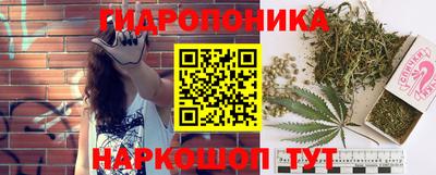 mix Будённовск