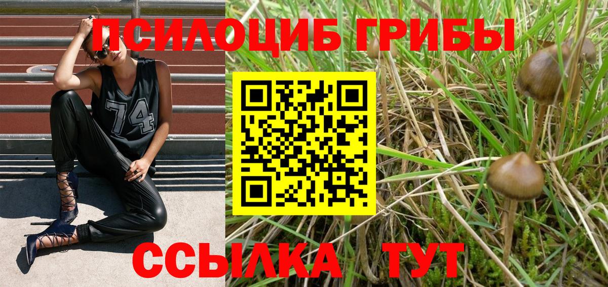 Галлюциногенные грибы Psilocybe  Псилоцибиновые грибы GOLDEN TEACHER  Вход с VPN  Нижний Тагил 